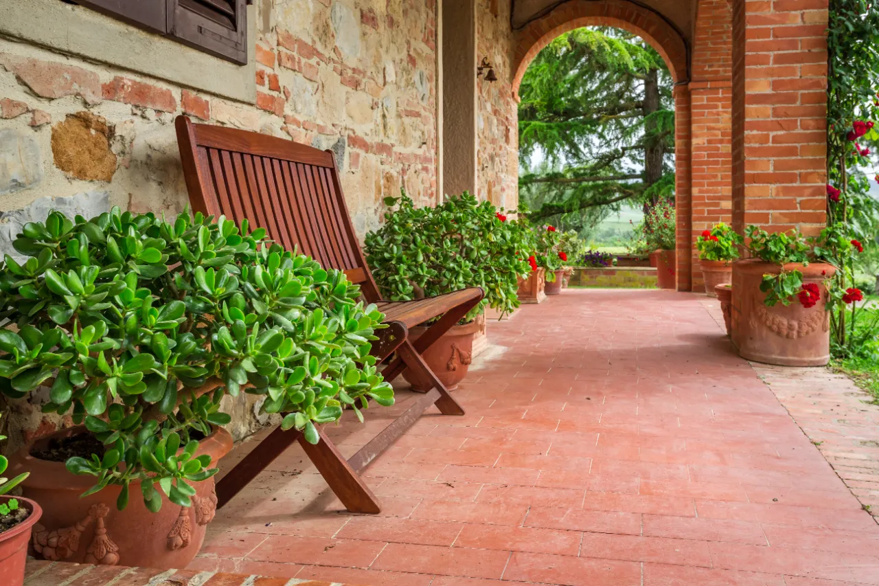 Patio with potted plants